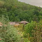 будинок в горах Guest house Polyana (Transcarpathia)