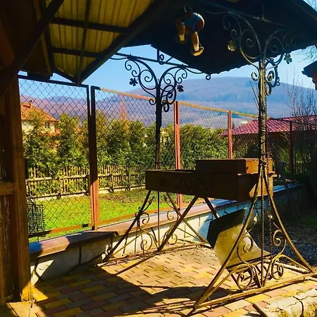 будинок в горах * Polyana (Transcarpathia)