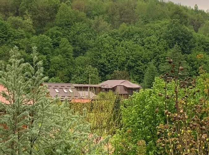 будинок в горах Penzion Poljana