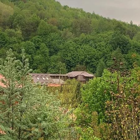 будинок в горах ゲストハウス ポリアナ