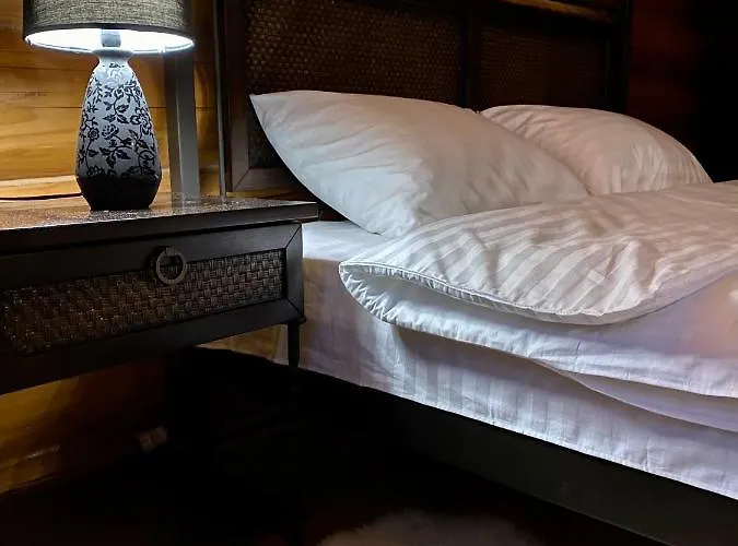 招待所 будинок в горах